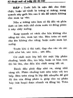 Nông Nghiệp - Trồng Cây Ăn Trái part 5 pot