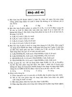 1000 B Trần Hưng Đạo Tp.Qui Nhơn