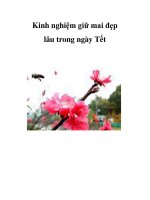 Kinh nghiệm giữ mai đẹp lâu trong ngày Tết ppsx