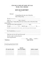 ĐƠN XIN PHÉP TH-HHT