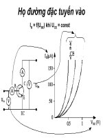 Họ đường đặc tuyến vào pptx