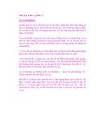 Sinh học tế bào ( phần 4 ) potx