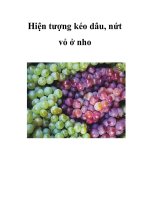 Hiện tượng kéo dâu, nứt vỏ ở nho potx