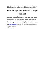 Hướng dẫn sử dụng Photoshop CS5 Phần 20 pot