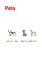 Pets pdf