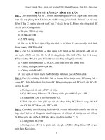 bai tap hinh thi vao lop 10 (hay)