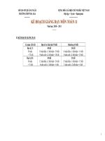 Kế hoạch giảng dạy toán 11 (chuẩn) doc