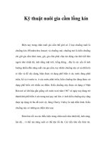 Kỹ thuật nuôi gia cầm lồng kín pot