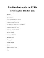 Bảo lãnh tín dụng đầu tư: Ký kết hợp đồng bảo đảm bảo lãnh pdf