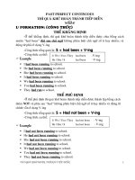 PAST PERFECT COTINUOS