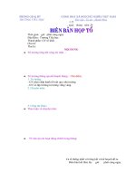 MAU BIEN BAN HOP TO.doc