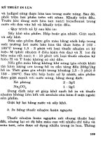 Kỹ Thuật In Ấn - In Lụa phần 6 ppsx