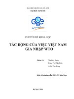 TÁC ĐỘNG CỦA VIỆC VIỆT NAM GIA NHẬP WTO