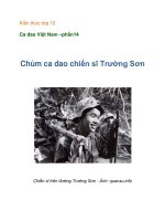 Kiến thức lớp 10 Ca dao Việt Nam –chùm ca dao chiến sĩ trường sơn potx