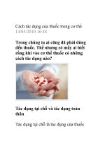 Cách tác dụng của thuốc trong cơ thể pps