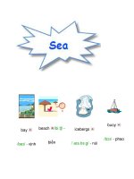 từ vựng tiếng anh sơ cấp -unit 5 pps