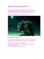 Người Sói Dưới Mưa trong Photoshop (phần I) docx