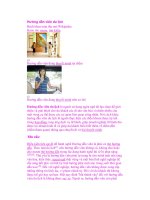 Hướng dẫn viên du lịch doc