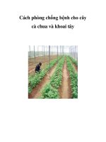 Cách phòng chống bệnh cho cây cà chua và khoai tây pptx