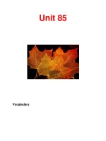 Từ vựng tiếng anh-Unit 85 doc