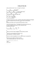 A Day In The Life pdf