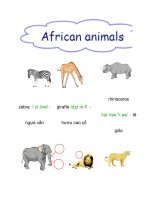 từ vựng về động vật doc