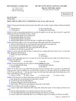 ĐỀ CHÍNH THỨCTHI CAO ĐẲNG MÔN SINH HỌC 2008 - MÃ ĐỀ 315 ppt