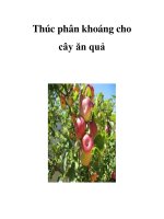 Thúc phân khoáng cho cây ăn quả pot