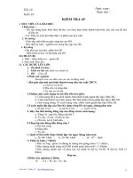 L sử 8 - Tuần 10