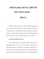 NHỮNG HỘI CHỨNG CHÈN ÉP DÂY THẦN KINH - PHẦN 1 pps