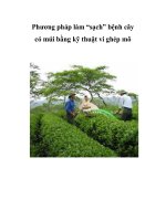 Phương pháp làm “sạch” bệnh cây có múi bằng kỹ thuật vi ghép mô pps