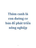 Đề tài: Thâm canh là con đường cơ bản để phát triển nông nghiệp doc