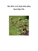 Đặc điểm và kỹ thuật nhân giống Bạch Diệp Tiễn docx