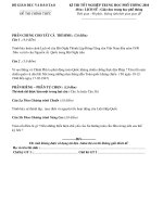 Dap an mon su TNTHPT2010