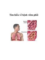 Tìm hiểu về bệnh viêm phổi ppsx