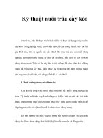 Kỹ thuật nuôi trâu cày kéo pptx