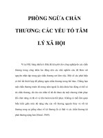 PHÒNG NGỪA CHẤN THƯƠNG: CÁC YẾU TỐ TÂM LÝ XÃ HỘI potx