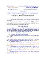 BAO CAO TONG KET CĐ -TH 2