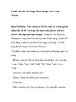 Chỉnh sửa ảnh với Snagit Batch Image Conversion Wizard doc