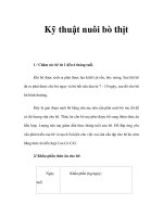 Kỹ thuật nuôi bò thịt docx
