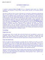 LETTER OF CREDIT (LC) docx