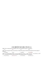 câu hỏi ôn hóa vô cơ có đáp án