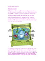 Sinh học tế bào ( phần 5 ) pps