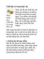 Chất độc có trong thực vật ppsx