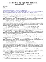 đề thi thử đh 2010 mới nhất - vip