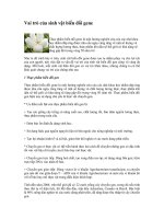 Vai trò của sinh vật biến đổi gene ppt