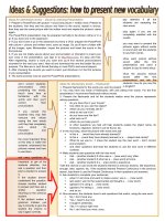 How to present the vocabulary