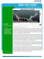 1 B N TIN TU N 21/02-25/02/2011 NH N Đ NH TH TRƯ NG TIÊU ĐI M • • • Nh n đ nh th trư pps