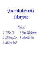 Quá trình phiên mã ở Eukaryotae potx