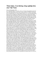 Thảo luận vấn đề công nghiệp hóa Việt Nam pot